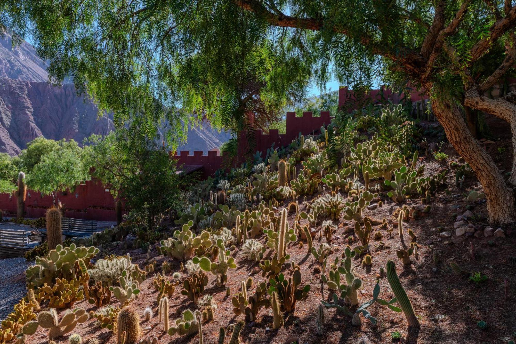 Bed and Breakfast Posta De Purmamarca Esterno foto